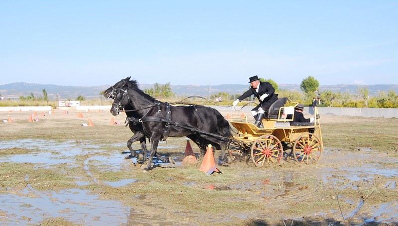 David Aramendía y Carmen Goiburu, Campeones Navarros de Enganches Completo en Troncos y Limoneras